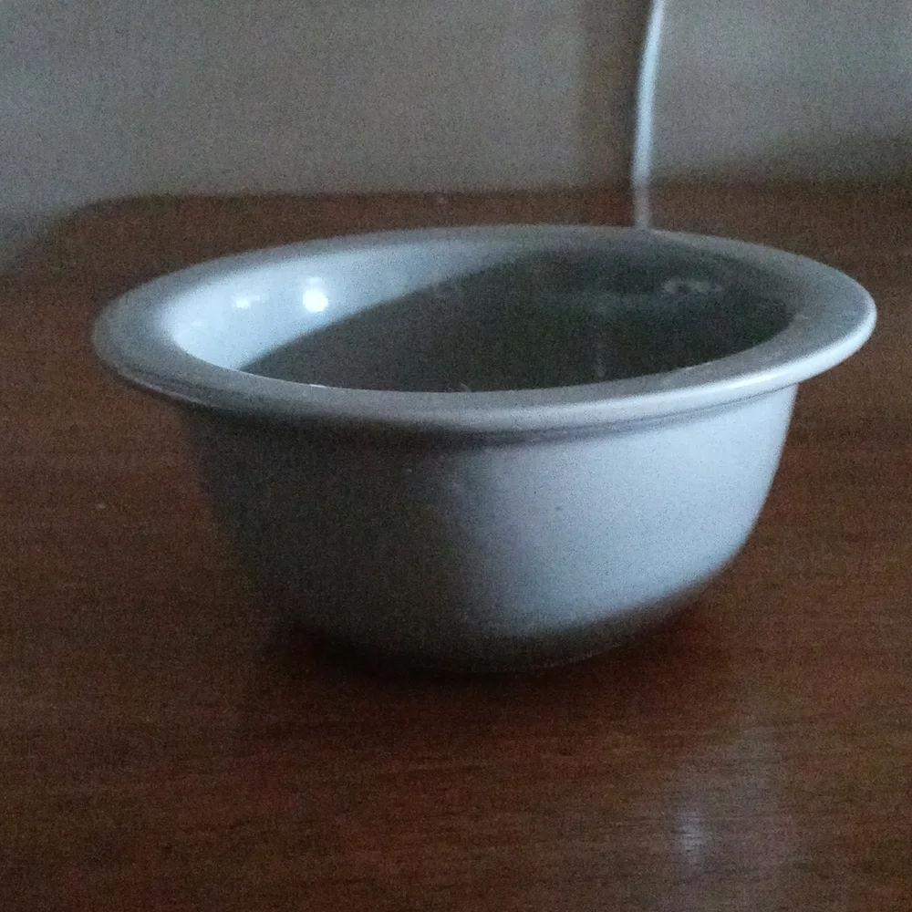 Dog bowl